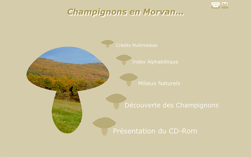 Bourgogne Nature : Champignon en Morvan